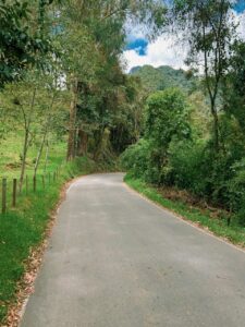 Ruta de cicloturismo en Quindío rodeada de naturaleza