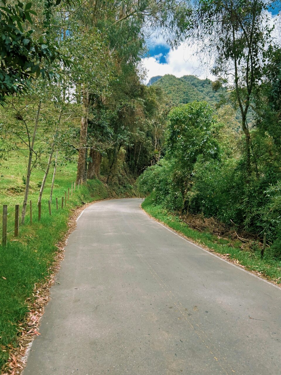Ruta de cicloturismo en Quindío rodeada de naturaleza