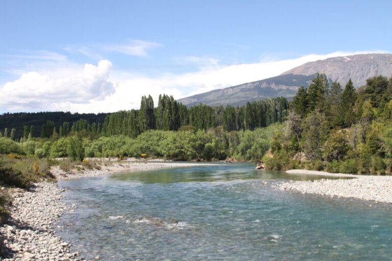 Vista del río Azul y vegetación en el Parque Nacional Lago Puelo