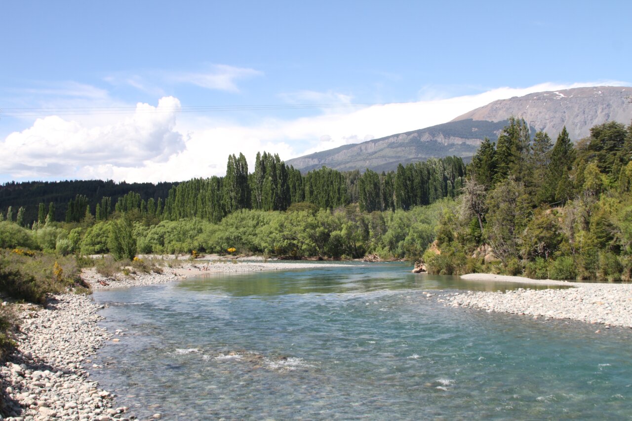 Vista del río Azul y vegetación en el Parque Nacional Lago Puelo