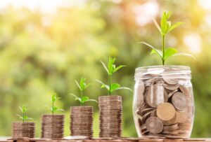 Plantas creciendo sobre pilas de monedas en un fondo natural