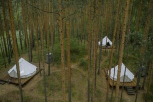 Vista aérea de domos geodésicos en un bosque