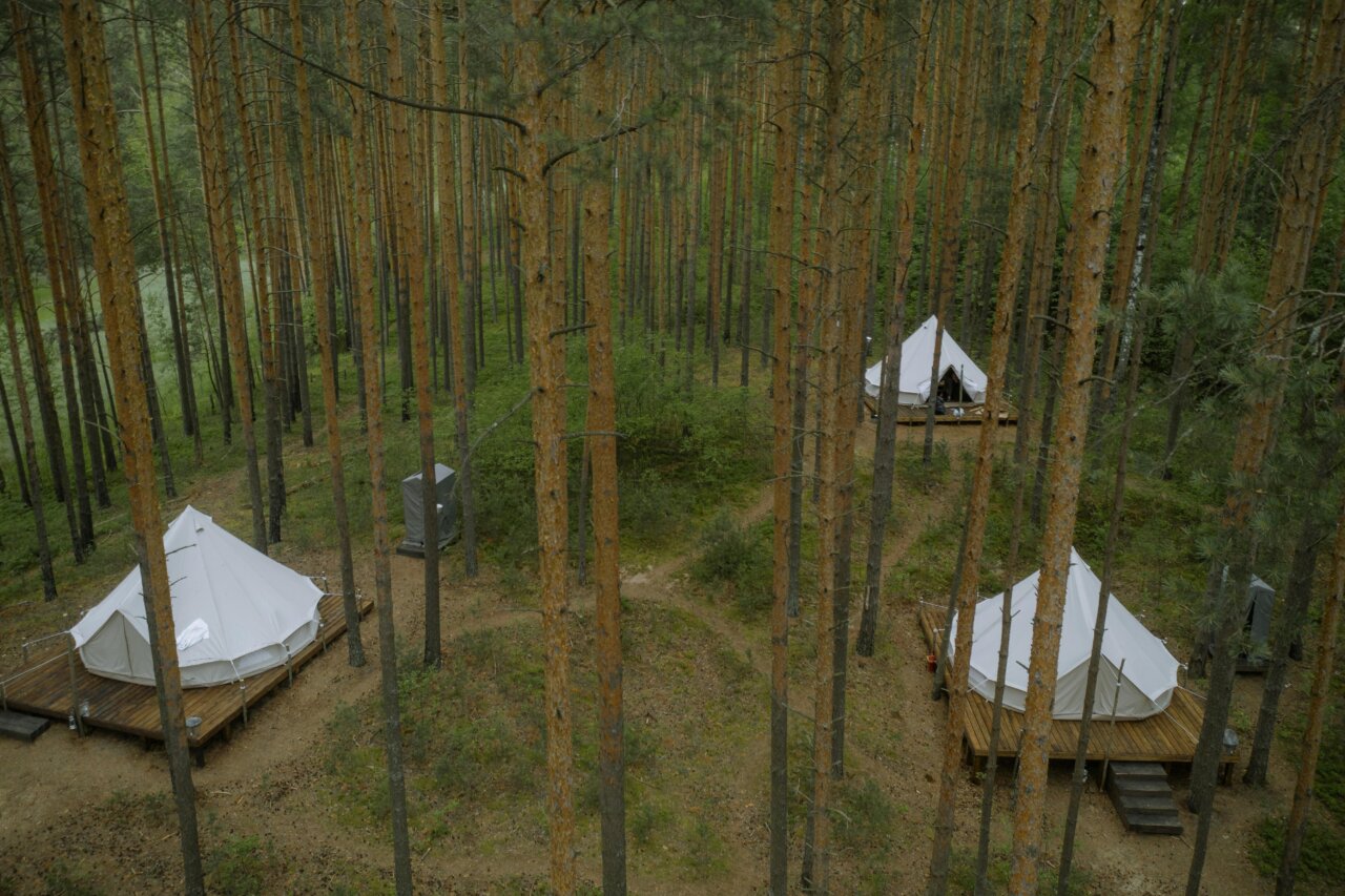 Vista aérea de domos geodésicos en un bosque
