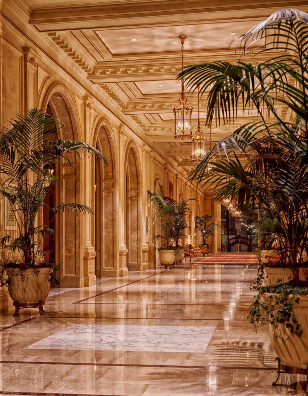Lobby elegante de un hotel boutique con plantas y decoración lujosa
