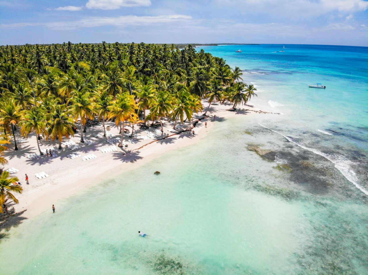 Vista aérea de la playa y palmeras en Punta Cana