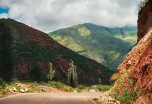 Vista de los Valles Calchaquíes en Salta con cactus y montañas