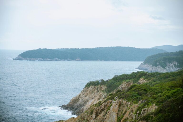 Vista de un paisaje costero con vegetación y mar
