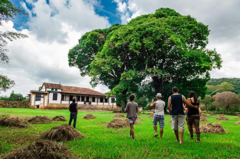 Grupo de personas en un campo con una casa colonial y un gran árbol
