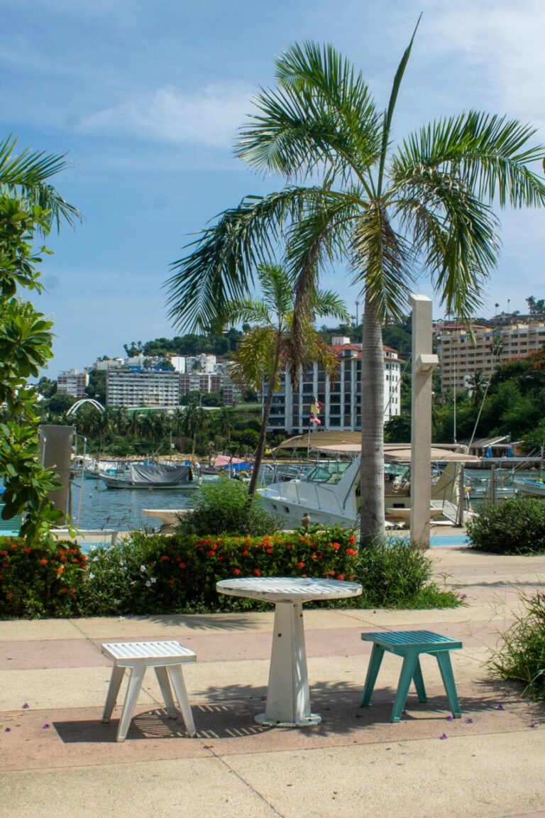 Vista de un terreno en Ixtapa con mesas y palmeras