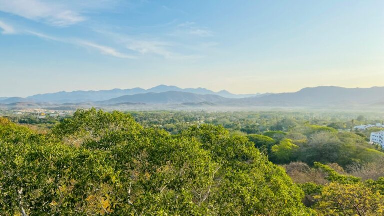 Vista panorámica de un terreno en Ixtapa con vegetación y montañas al fondo