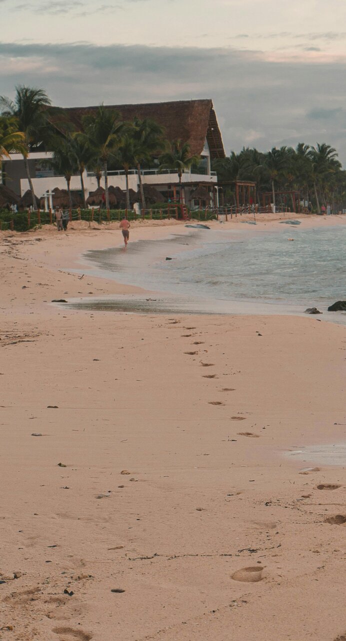Vista de una playa con un alojamiento y palmeras al fondo