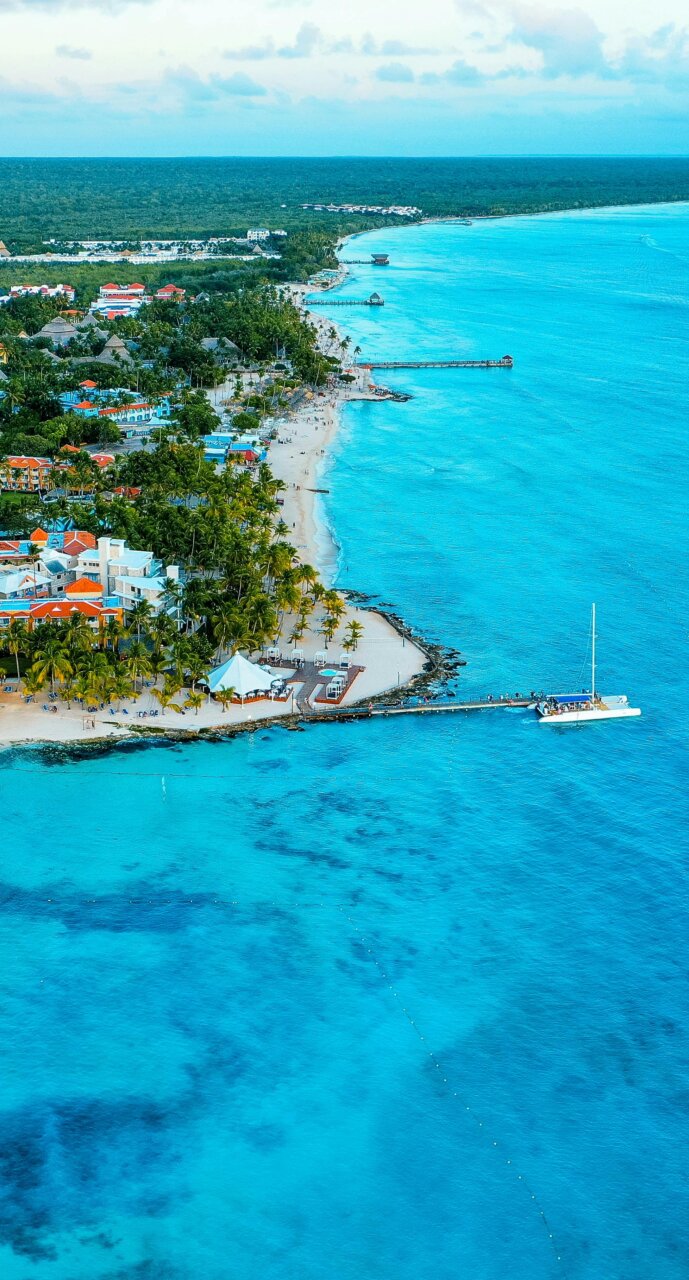 Vista aérea de una playa con agua turquesa y palmeras