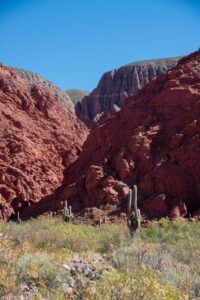 Vista del paisaje montañoso en San Salvador de Jujuy con cactáceas