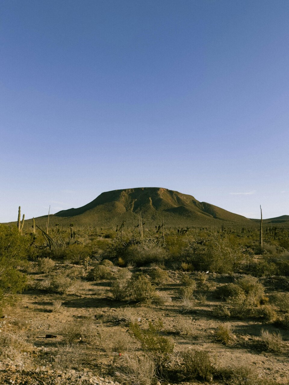 Vista del paisaje desértico en Loreto, Baja California Sur.