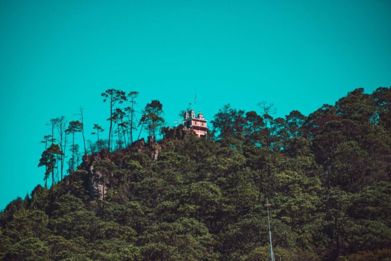 Vista del proyecto Rancho Agua Bendita en Ixtapa rodeado de naturaleza