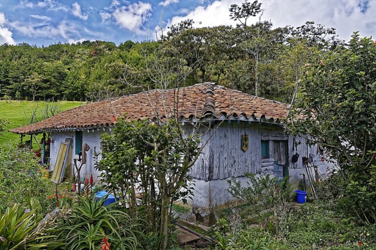 Casa tradicional en un entorno natural en Montañita, Ecuador.