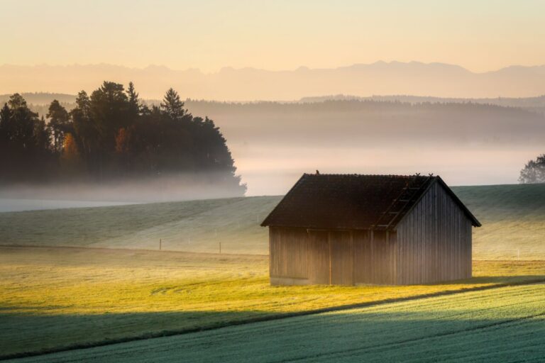 Cabaña de madera en un paisaje rural con niebla