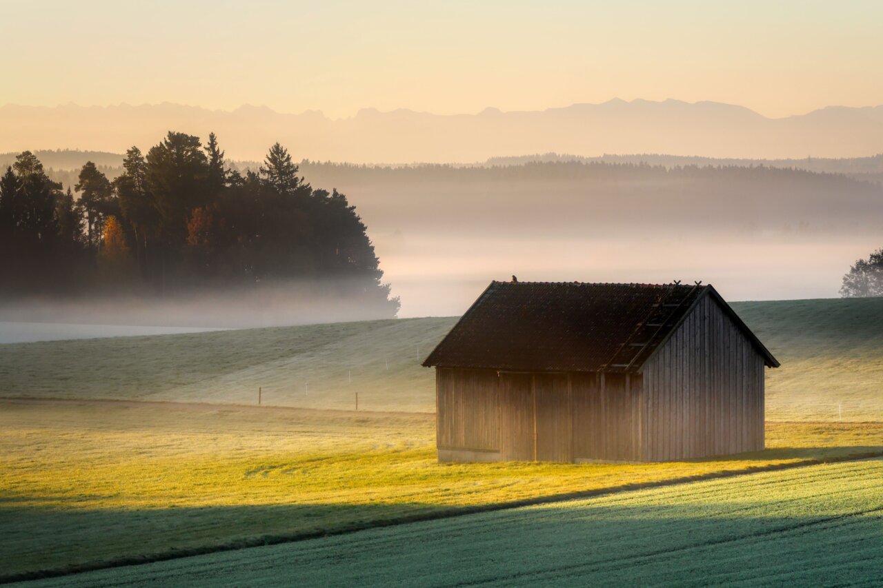 Cabaña de madera en un paisaje rural con niebla