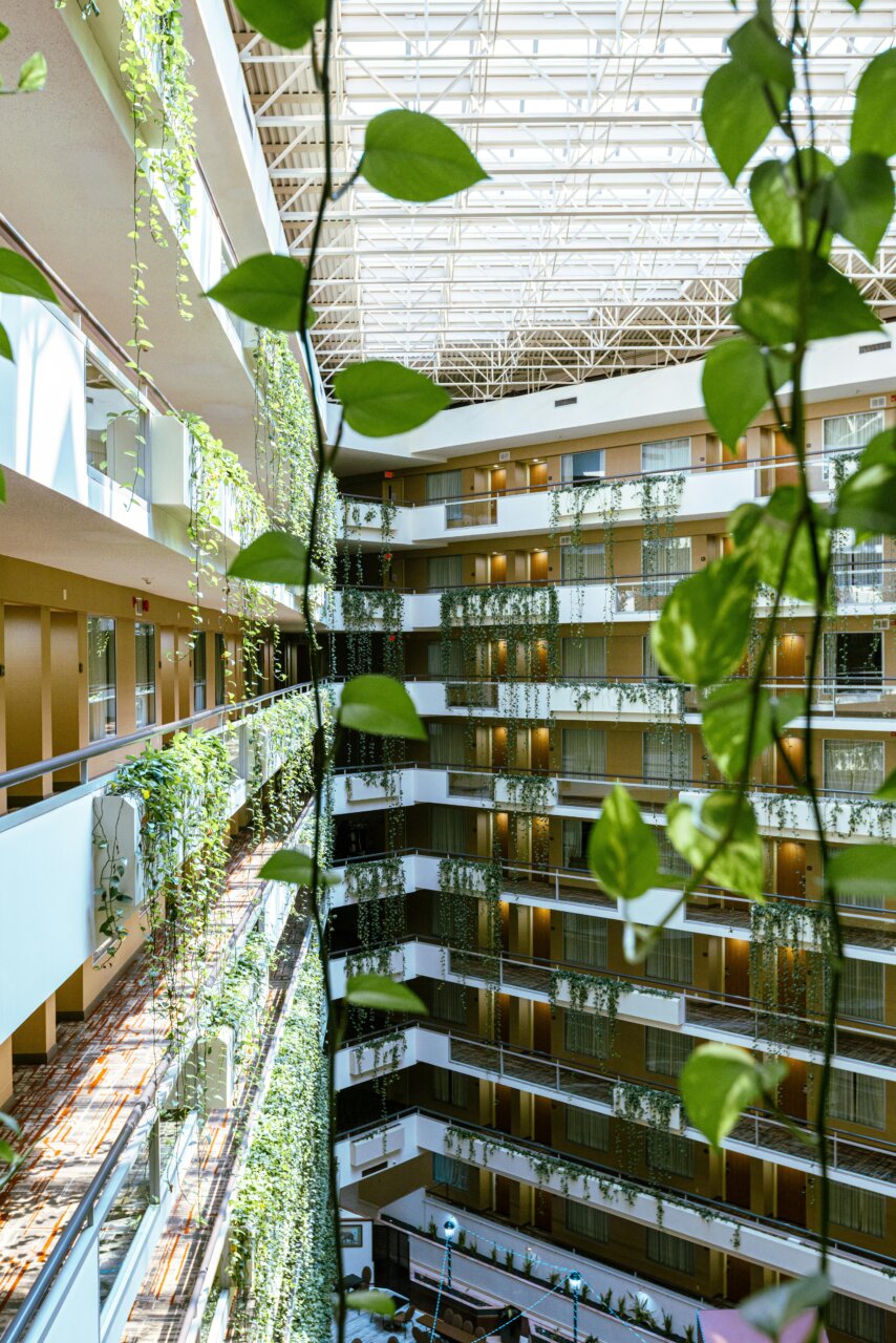 Vista interior de un hotel con plantas y diseño sostenible